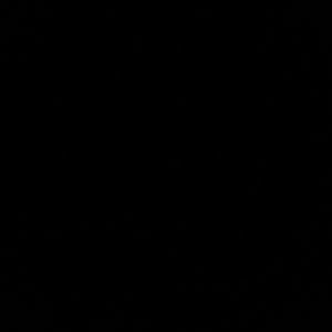 Meet your Posher, Gavin